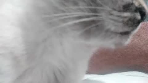 Snapshot of beuno3 chatting on October 18, 11:26 am beuno3 online show from October 18, 11:26 am