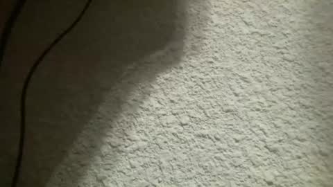 Snapshot of bgf32054 chatting on February 4, 5:21 am Bigfish123 online show from February 4, 5:21 am