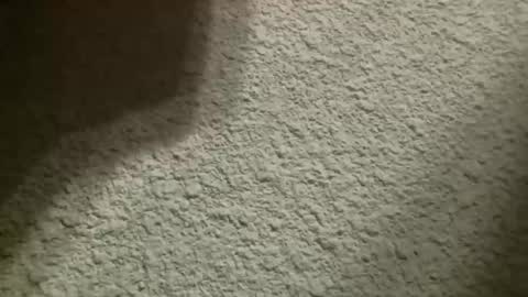 Snapshot of bgf32054 chatting on October 10, 4:50 am Bigfish123 online show from October 10, 4:50 am