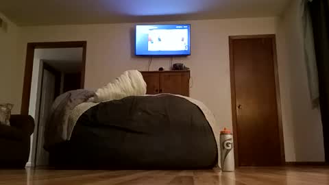 bibottom68942 online show from October 23, 6:39 am