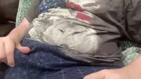 Big Pesch online show from October 1, 7:12 am