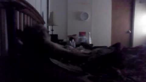 BB online show from November 11, 4:06 am