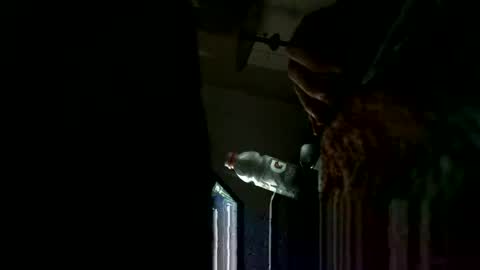 Snapshot of bigbenidick1 chatting on January 30, 2:49 am BB online show from January 30, 2:49 am