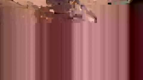 bigcook2023 online show from September 23, 8:13 am