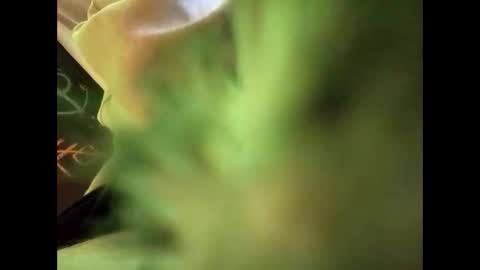 bigdickguy69690 online show from February 22, 1:11 am