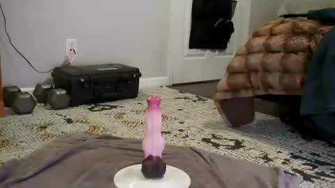 bigdikdaddy007 online show from August 4, 11:53 pm