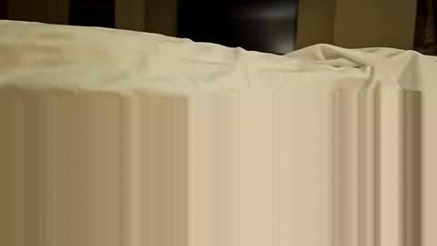 Snapshot of bigrobnob chatting on January 28, 10:23 pm bigrobnob online show from January 28, 10:23 pm