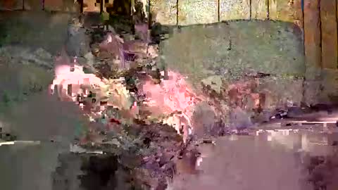 Snapshot of bigwytecock1979 chatting on December 29, 12:41 am bigwytecock1979 online show from December 29, 12:41 am