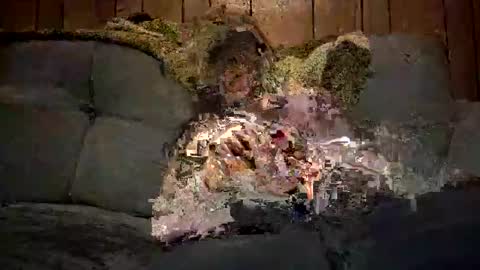 Snapshot of bigwytecock1979 chatting on December 11, 7:32 am bigwytecock1979 online show from December 11, 7:32 am