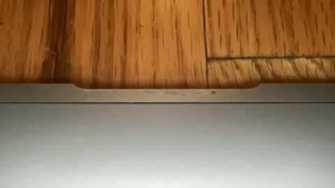 billy_big_pipes online show from January 9, 9:36 am