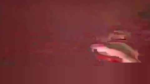 bizzybeejc online show from February 1, 5:22 pm