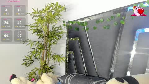 B L A C K  R O S E  online show from February 7, 11:34 am