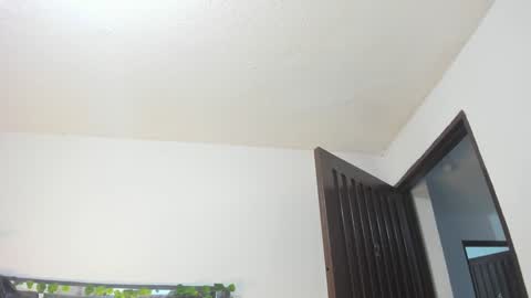 B L A C K  R O S E  online show from January 31, 11:35 am