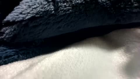 blackhammer8787 online show from December 8, 6:43 am