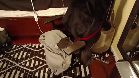 Blackjag00 online show from March 5, 9:28 pm