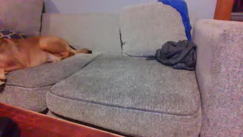 blaw_1321 online show from October 7, 7:34 am