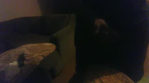 blongd2 online show from March 2, 5:44 am