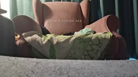 Snapshot of bluealpakka chatting on October 19, 5:34 am bluealpakka online show from October 19, 5:34 am