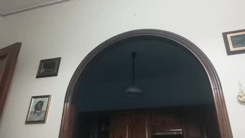 bluejoee online show from March 9, 8:18 am