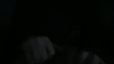 bluelaseryell online show from October 14, 11:28 am