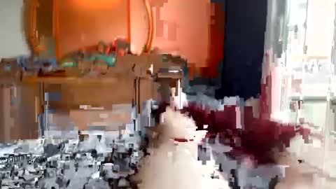 Snapshot of bluemaize chatting on September 8, 6:51 pm bluemaize online show from September 8, 6:51 pm