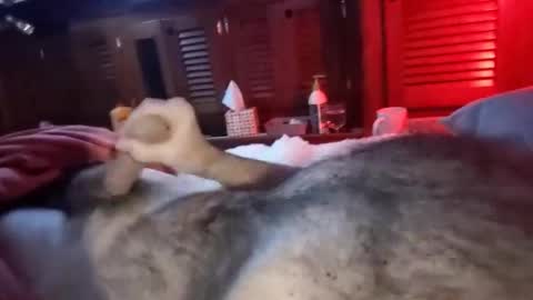 bluespycy online show from January 20, 1:42 pm