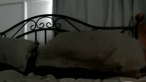 bob online show from September 19, 11:37 pm