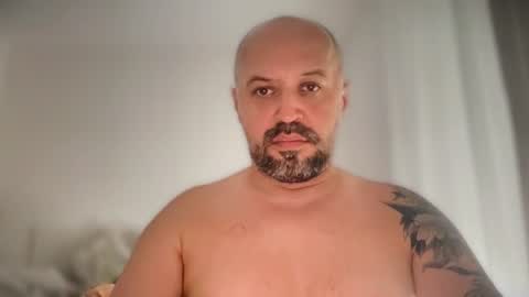 Bold online show from July 7, 9:13 am