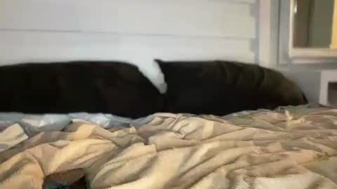 boner4you1994 online show from March 19, 5:54 am