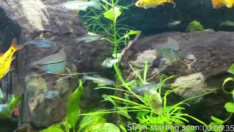 Booker Baxton online show from January 5, 4:04 am