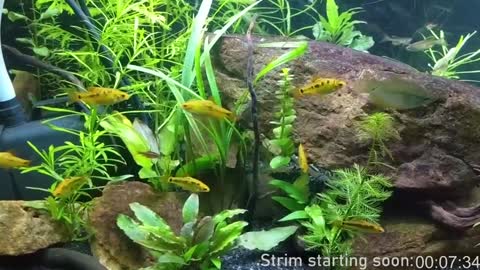 Booker Baxton online show from February 8, 4:03 am