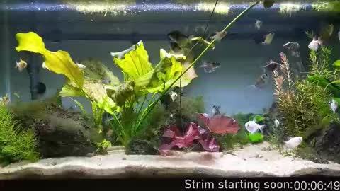 Booker Baxton online show from October 15, 3:03 am