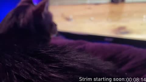 Booker Baxton online show from February 13, 4:00 am