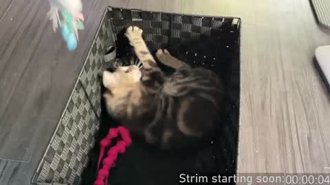 Booker Baxton online show from December 4, 4:10 am