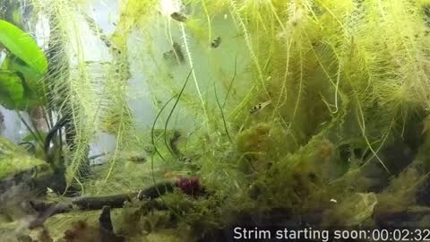 Booker Baxton online show from December 5, 4:09 am