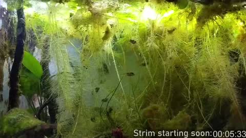 Booker Baxton online show from February 4, 4:05 am