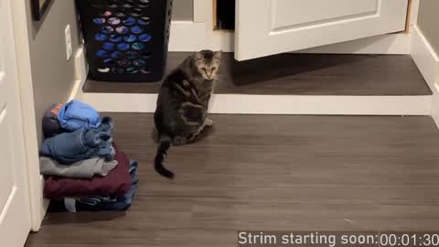 Booker Baxton online show from December 28, 4:08 am