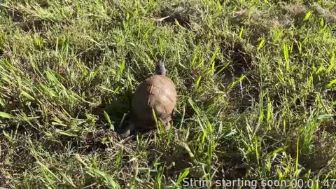 Booker Baxton online show from January 11, 4:06 am