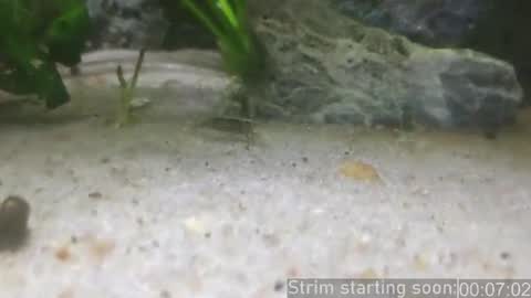 Booker Baxton online show from March 12, 3:02 am