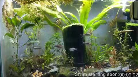 Booker Baxton online show from December 23, 3:59 am