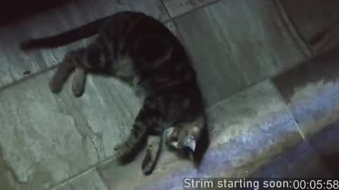 Booker Baxton online show from February 15, 4:03 am