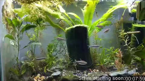 Booker Baxton online show from February 11, 4:01 am