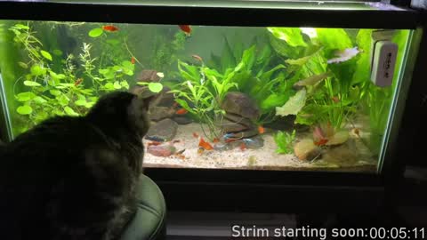 Booker Baxton online show from February 9, 4:04 am