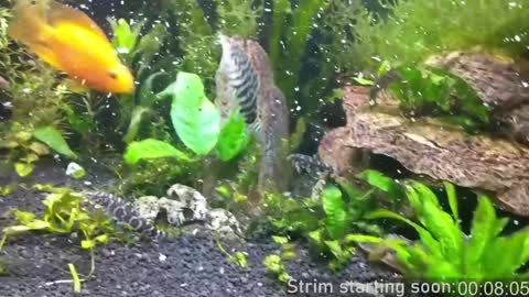 Booker Baxton online show from December 3, 4:02 am