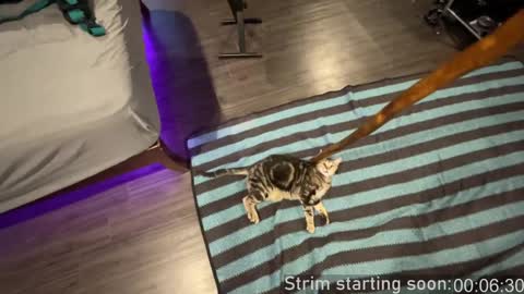 Booker Baxton online show from December 27, 4:04 am