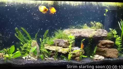 Booker Baxton online show from September 30, 3:02 am