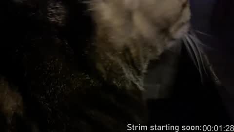 Booker Baxton online show from January 9, 4:08 am