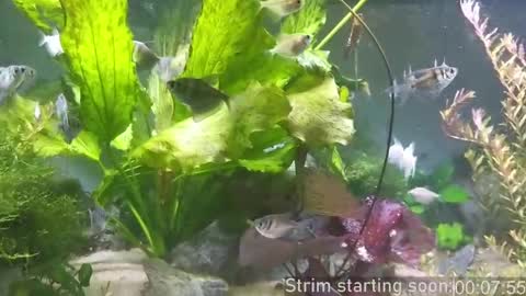 Booker Baxton online show from March 11, 3:05 am