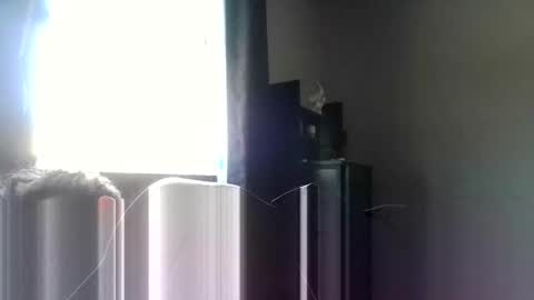 brandon255225 online show from February 12, 7:53 pm