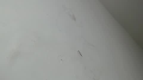 Brant Garcia online show from January 18, 6:15 am